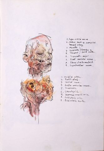 Project 9 notebook - page 12 Project 9 notebook - page