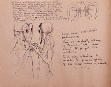 Project 5 notebook - page 5 Project 5 notebook - page