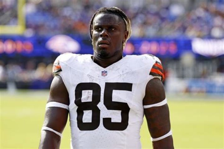 
David Njoku Height, Weight, Net Worth, Age, Birthday, Wikipedia, Who, Nationality, Biography 