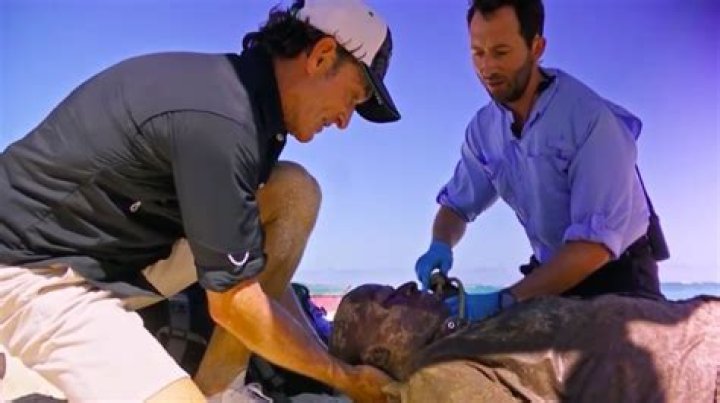 
“Feel so bad for Bruce”: Fans left heartbroken as Bruce gets medically evacuated from Survivor 44 