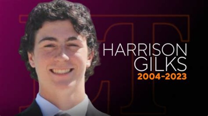 Harrison Gilks Height, Weight, Net Worth, Age, Birthday, Wikipedia, Who, Instagram, Biography
