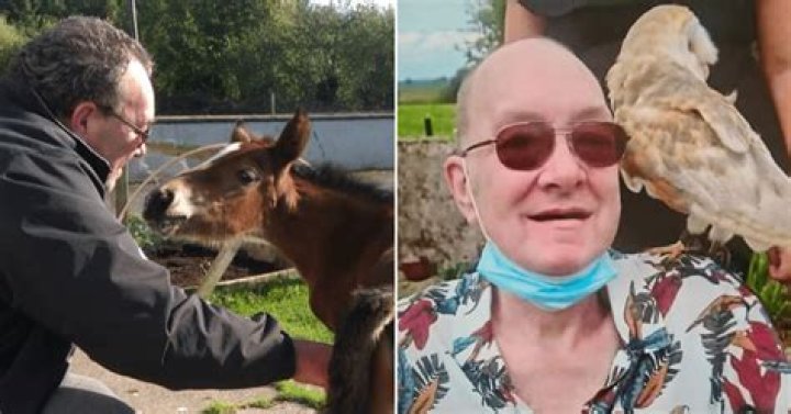 
Jasper Kraus: ‘Animal lover’ grandfather dies in pool of his own blood after being attacked by a violent rooster on his farm 