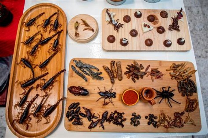
Who is Kim Cutler? Utah teacher’s climate assignment encourages kids to eat bugs 